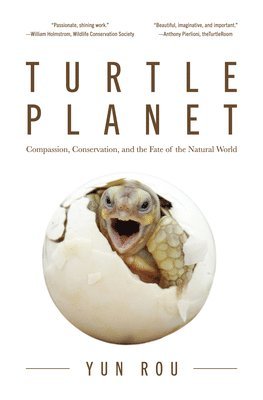 Turtle Planet 1