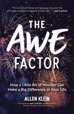 bokomslag Awe Factor