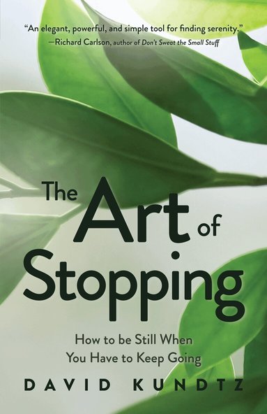 David Kundtz - Art of Stopping, Häftad