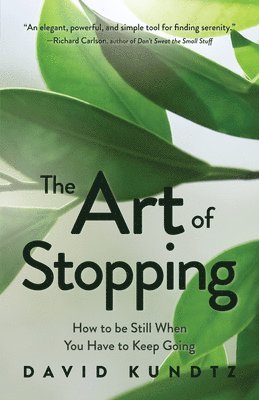 The Art of Stopping 1