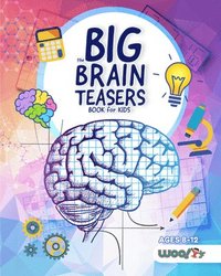 bokomslag The Big Brain Teasers Book for Kids