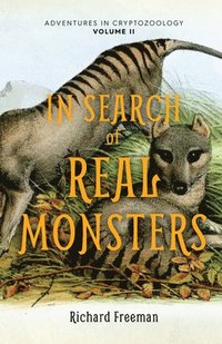 bokomslag In Search of Real Monsters