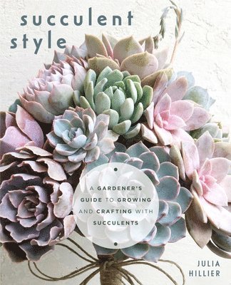 bokomslag Succulent Style