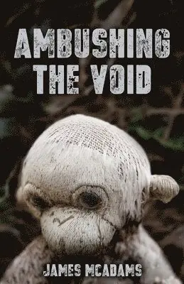 James McAdams - Ambushing the Void, Häftad. Tillgänglighet: Lägg i varukorg