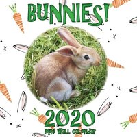 bokomslag Bunnies! 2020 Mini Wall Calendar