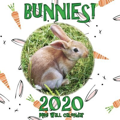 Bunnies! 2020 Mini Wall Calendar 1