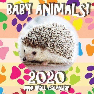 Baby Animals! 2020 Mini Wall Calendar 1