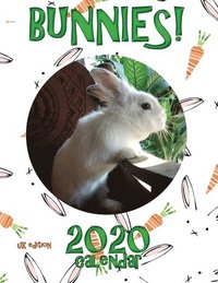 bokomslag Bunnies! 2020 Calendar (UK Edition)