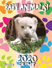 bokomslag Baby Animals! 2020 Calendar (UK Edition)