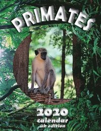 bokomslag Primates 2020 Calendar (UK Edition)