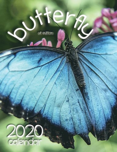 bokomslag Butterfly 2020 Calendar (UK Edition)