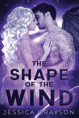 The Shape of the Wind 1