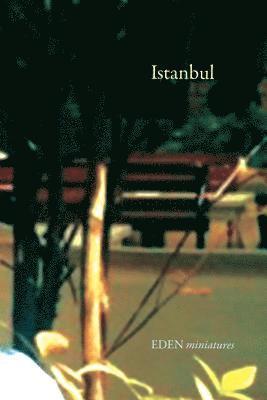 Istanbul 1