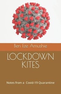 bokomslag Lockdown Kites