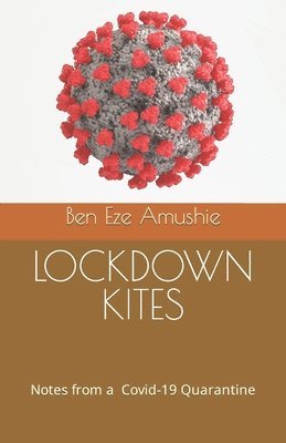 bokomslag Lockdown Kites