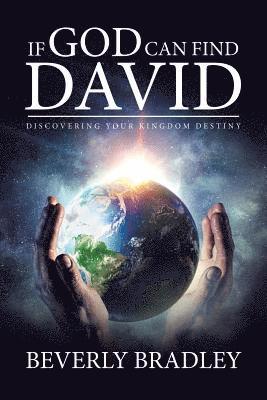 bokomslag If God Can Find David