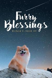 bokomslag Furry Blessings