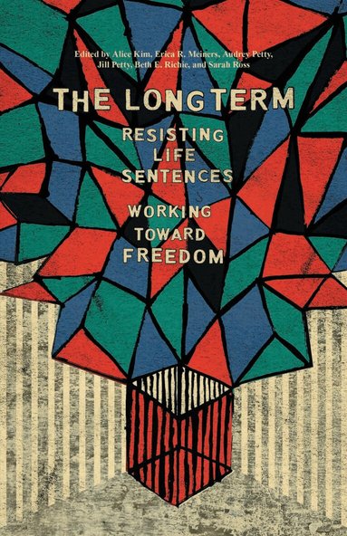 Alice Kim, Erica Meiners, Jill Petty, Audrey Petty, Beth E. Richie, Sarah Ross - Long Term, Inbunden