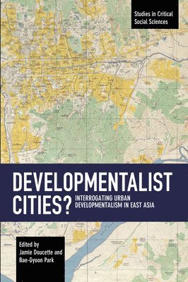 bokomslag Developmentalist Cities?