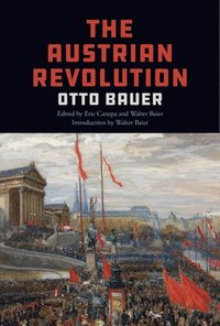 bokomslag The Austrian Revolution