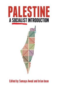 bokomslag Palestine: A Socialist Introduction