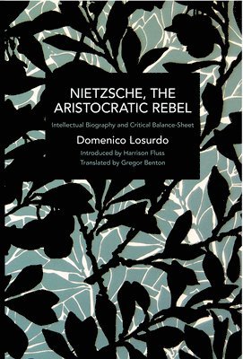 bokomslag Nietzsche, the Aristocratic Rebel