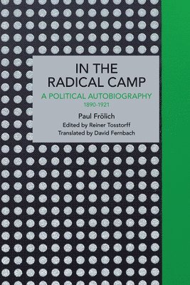 bokomslag Paul Frlich: In the Radical Camp