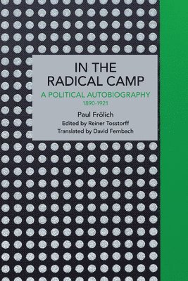 bokomslag Paul Frlich: In the Radical Camp