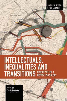 bokomslag Intellectuals, Inequalities and Transitions