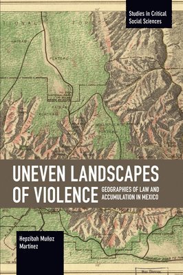 Uneven Landscapes of Violence 1