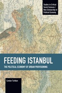 bokomslag Feeding Istanbul