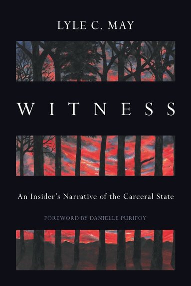 Lyle C. May - Witness, Häftad