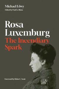 bokomslag Rosa Luxemburg: The Incendiary Spark