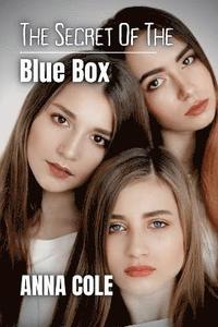 bokomslag The Secret of the Blue Box