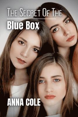 bokomslag Secret of the Blue Box