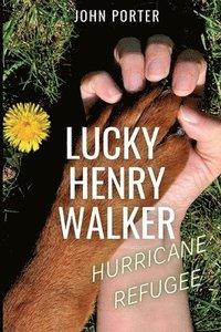 bokomslag Lucky Henry Walker