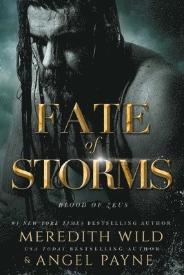 bokomslag Fate of Storms