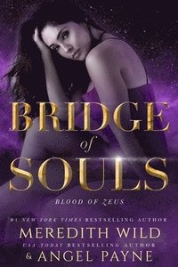 bokomslag Bridge of Souls