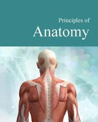 bokomslag Principles of Anatomy