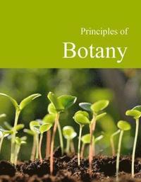 bokomslag Principles of Botany