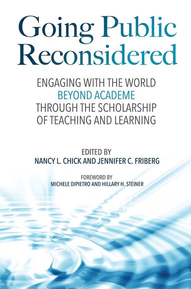 Nancy L. Chick, Jennifer C. Friberg - Going Public Reconsidered, Häftad
