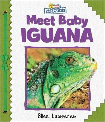 bokomslag Active Minds Explorers: Meet Baby Iguana