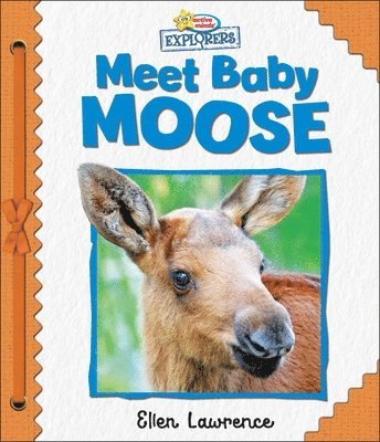 bokomslag Active Minds Explorers: Meet Baby Moose
