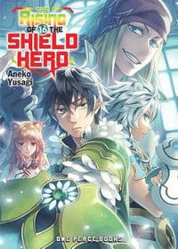 bokomslag Rising of the Shield Hero Volume 16: Light Novel
