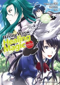 bokomslag The Wrong Way To Use Healing Magic Volume 1: The Manga Companion