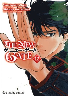 bokomslag New Gate Volume 12