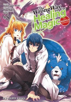 bokomslag Wrong Way to Use Healing Magic Volume 8: The Manga Companion