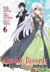 bokomslag Akashic Records of Bastard Magic Instructor Vol. 6