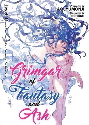 Grimgar of Fantasy and Ash (Light Novel) Vol. 11 1