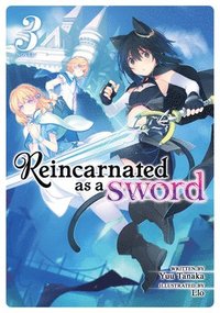 bokomslag Reincarnated as a Sword (Light Novel) Vol. 3